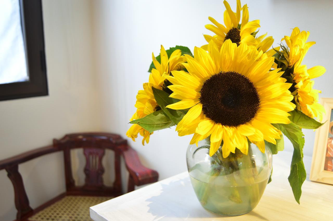 Bed and Breakfast Casa Girasol Antigua Екстер'єр фото